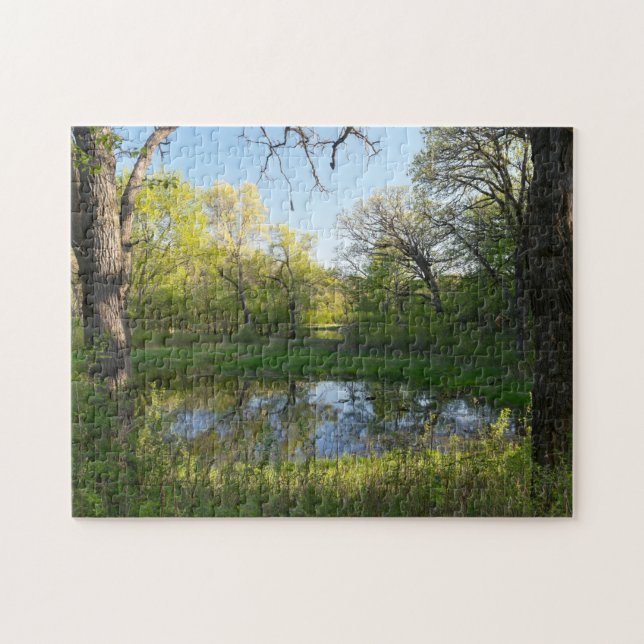 Battle Creek Pond and Forest (Horizontal)