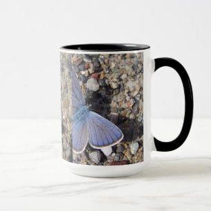 Bauer de Tasse Schmetterling