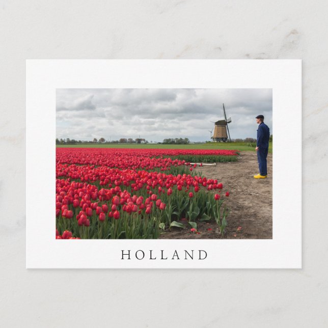 Bauer, der seine Tulpen und seine Windmühle inspiz Postkarte (Vorderseite)