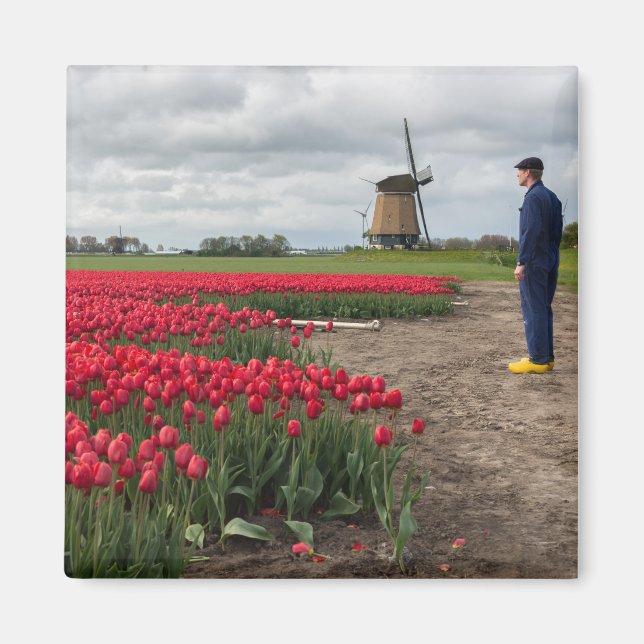 Bauer, der seine Tulpen und seine Windmühle kontro Magnet (Vorne)