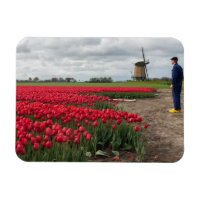 Bauer, der seine Tulpen und seine Windmühle kontro