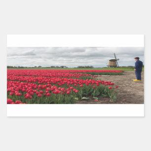 Bauer, der seine Tulpen und Windmühle kontrollier Rechteckiger Aufkleber