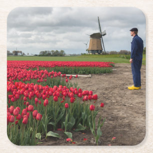 Bauer, der seine Tulpen und Windmühle kontrollier Rechteckiger Pappuntersetzer