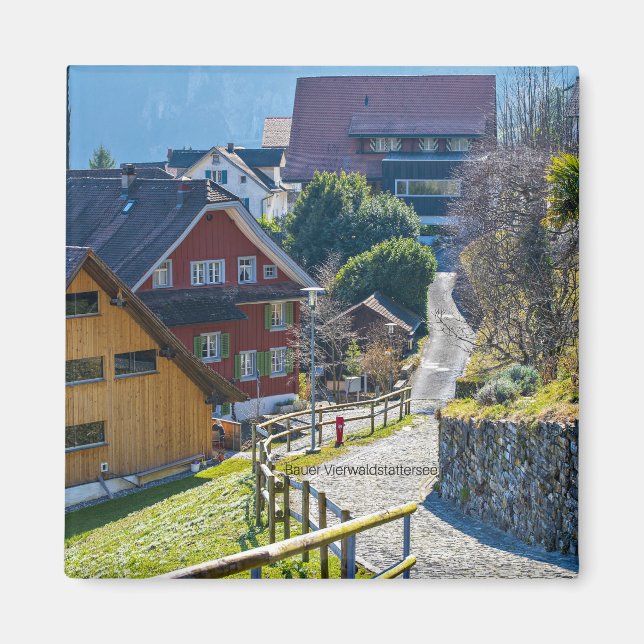 Bauer Vierwald, Schweiz Magnet (Vorne)