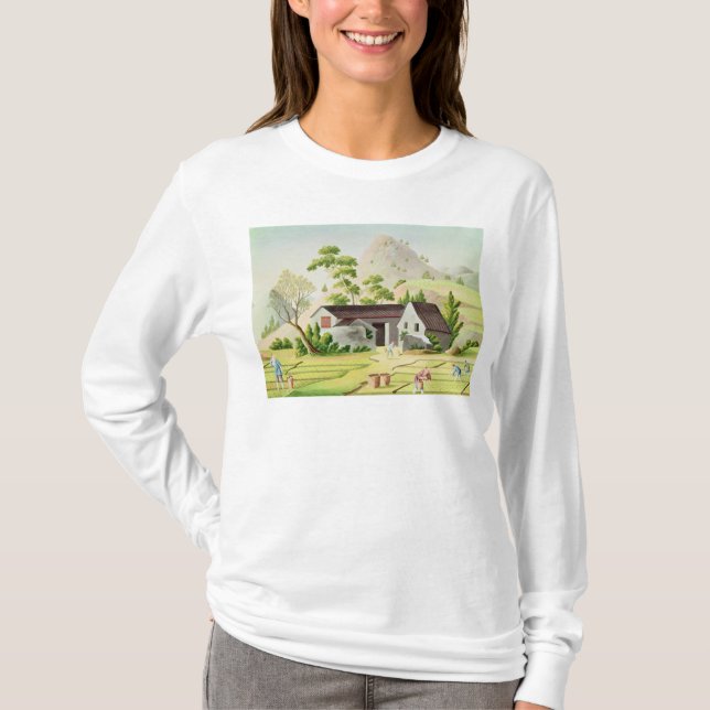 Bauern auf den Paddy-Gebieten T-Shirt (Vorderseite)
