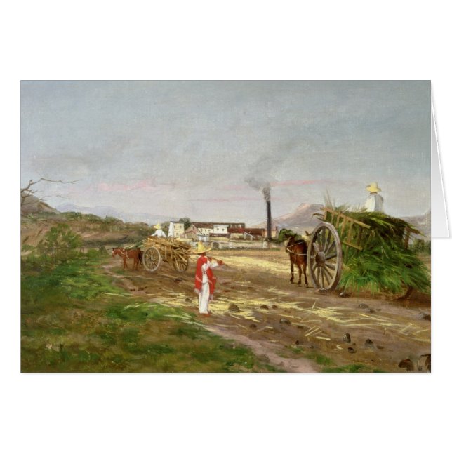 Bauern, die Zuckerrohr sammeln (Vorderseite (Horizontal))