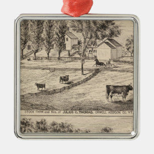 Bauernhof auf lagerin Orwell Vermont Silbernes Ornament