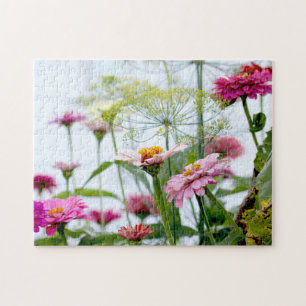 Bauernhof Blume Sommergarten Spaß