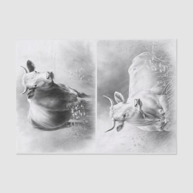 Bauernkühe Seidenpapier (Vorderseite)