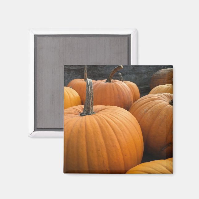 Bauernmarkt, Herbst-Erntepumpen Magnet (Vorderseite/Rückseite)