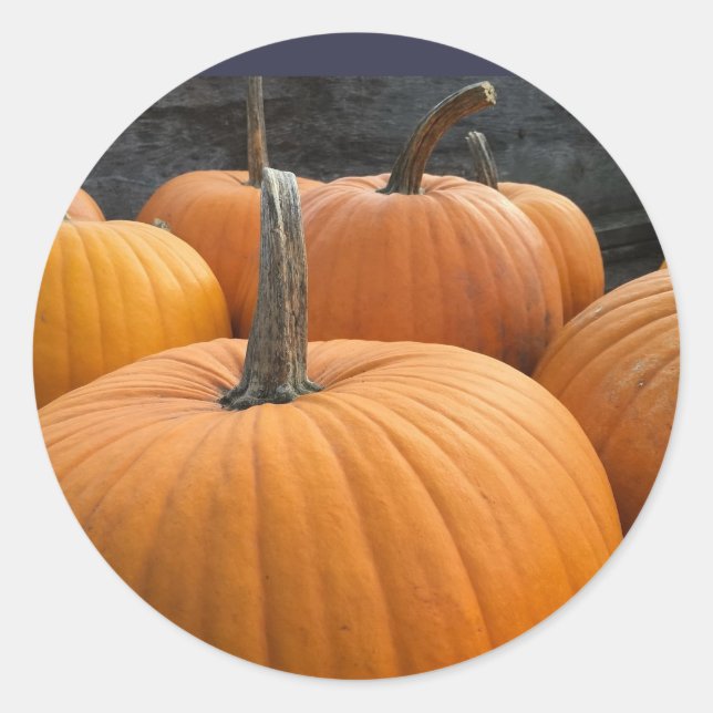 Bauernmarkt, Herbst-Erntepumpen Runder Aufkleber (Vorderseite)