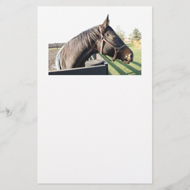 Bauernpferd Briefpapier (Vorderseite)