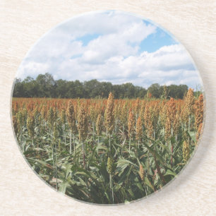 Bauernserien - Sorghum Field - Untersetzer