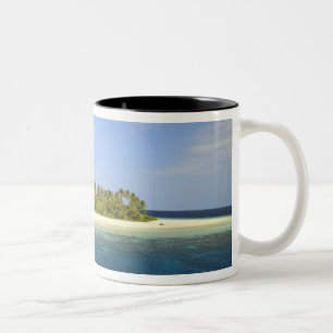 Baughagello-Insel, Süd-Huvadhoo-Atoll, 3 Zweifarbige Tasse