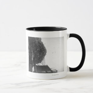 Bauholz-Stapel außerhalb der Fotografie De Smet Tasse
