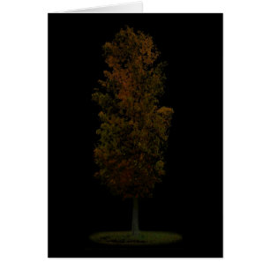 Baum