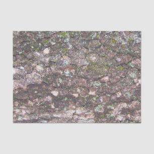 Baum 2 - Moos auf Rinde Seidenpapier