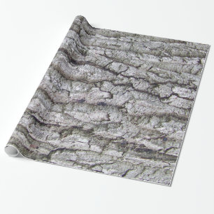 Baum 5 - Eichenbaumrinde Geschenkpapier