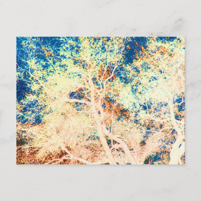 Baum abstrakt orange und blau postkarte (Vorderseite)
