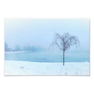 Baum an einem gefrorenen See Fotodruck