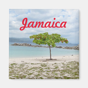 BAUM AUF ABGELEGENEM STRAND IN JAMAIKA-MAGNETEN MAGNET