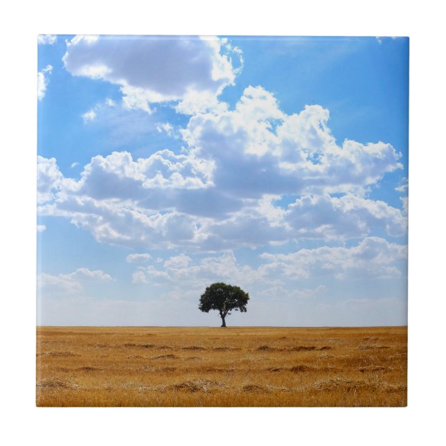 Baum auf einem geernteten Weizenfeld Fliese (Vorderseite)