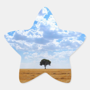 Baum auf einem geernteten Weizenfeld Stern-Aufkleber