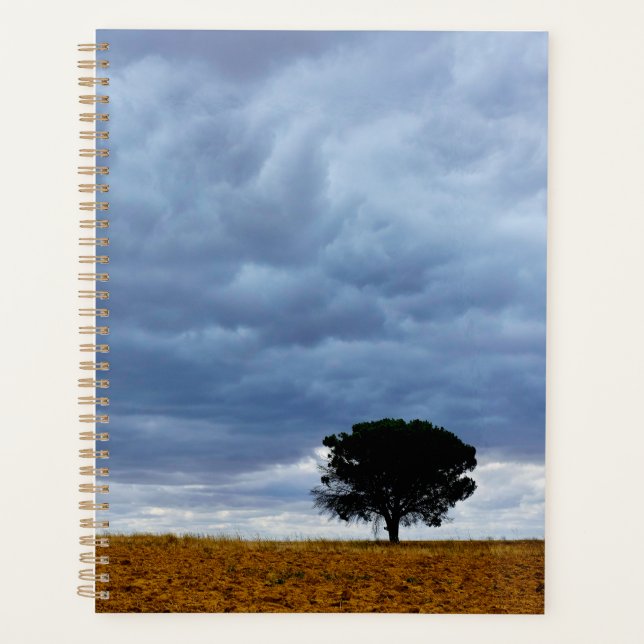 Baum auf einem leeren Feld Planer (Vorderseite)