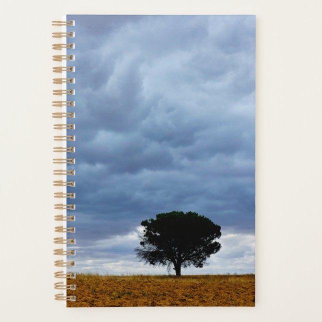 Baum auf einem leeren Feld Planer (Vorderseite)