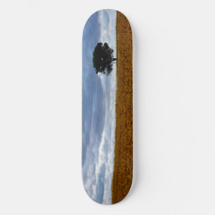 Baum auf einem leeren Feld Skateboard