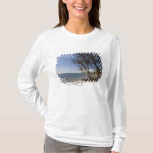 Baum auf einem Strand entlang der Küstenlinie T-Shirt