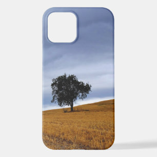 Baum auf einem Weizenfeld iPhone 12 Hülle
