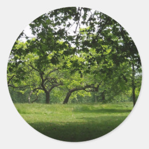 Baum-Aufkleber Runder Aufkleber