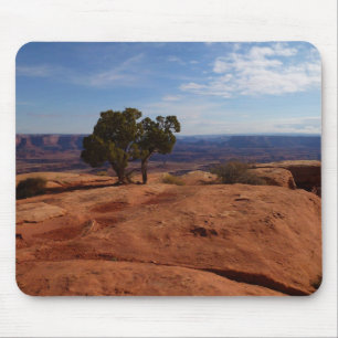 Baum aus roten Felsen I in Canyonlands Mousepad
