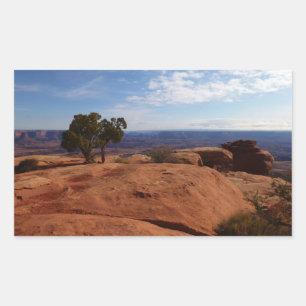 Baum aus roten Felsen I in Canyonlands Rechteckiger Aufkleber
