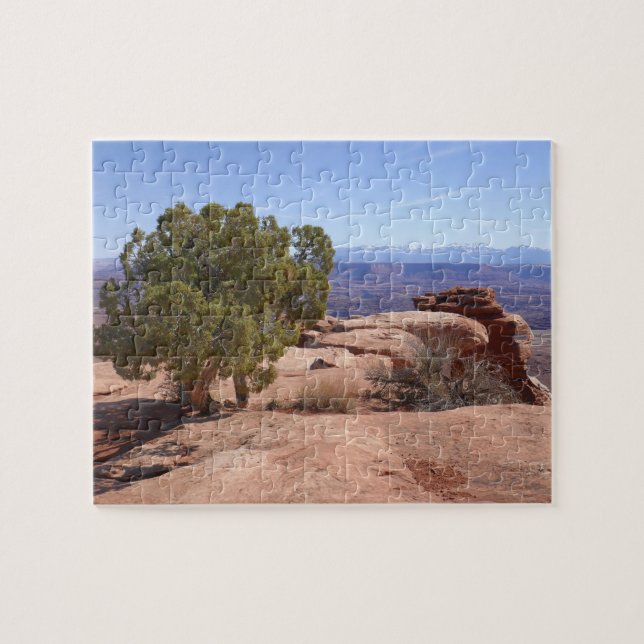 Baum aus roten Felsen II im Canyonlands (Horizontal)