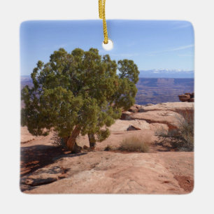 Baum aus roten Felsen II im Canyonlands Keramikornament