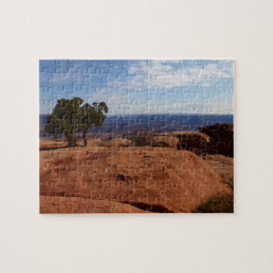 Baum aus roten Felsen im Canyonlands Nationalpark