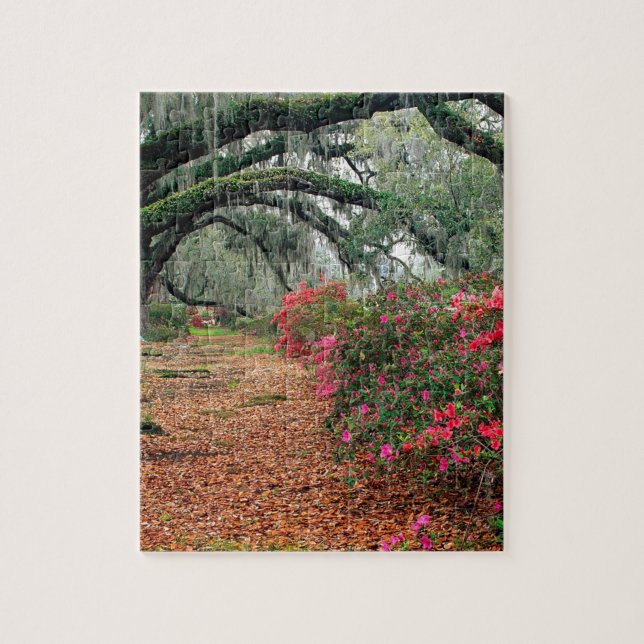 Baum-Azaleen-Eichen-Magnolie Charleston (Vertikal)