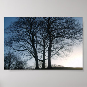 Baum bei Dämmerung Poster