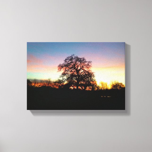 Baum bei Sonnenuntergang Leinwanddruck (Vorderseite)