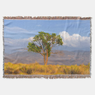 Baum Decke