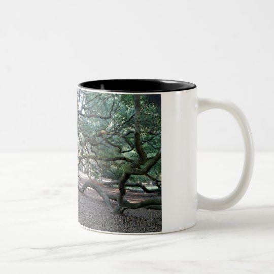 Baum der Lebenkaffee-Tasse Zweifarbige Tasse