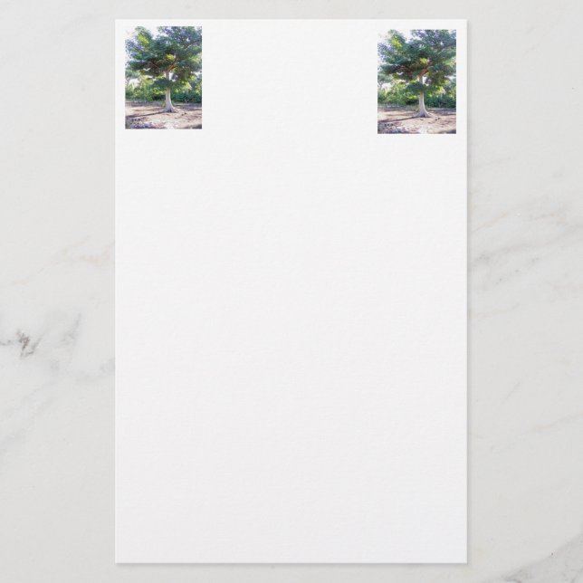 Baum der Schreibwaren der Weisheit Briefpapier (Vorderseite)