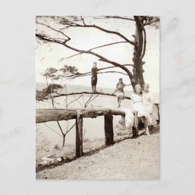 Baum der Vergangenheit Postkarte (Vorderseite)