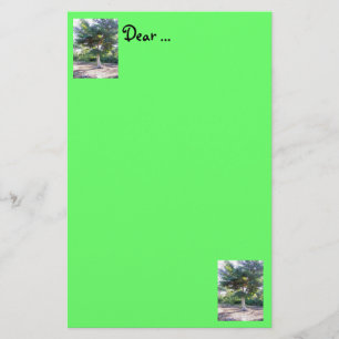 Baum der Weisheit Briefpapier