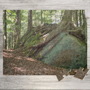 Baum der Widerstandsfähigkeit der Natur auf Felsen