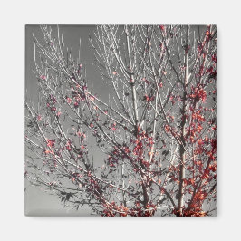 Baum des Hoffnungsmagneten Magnet