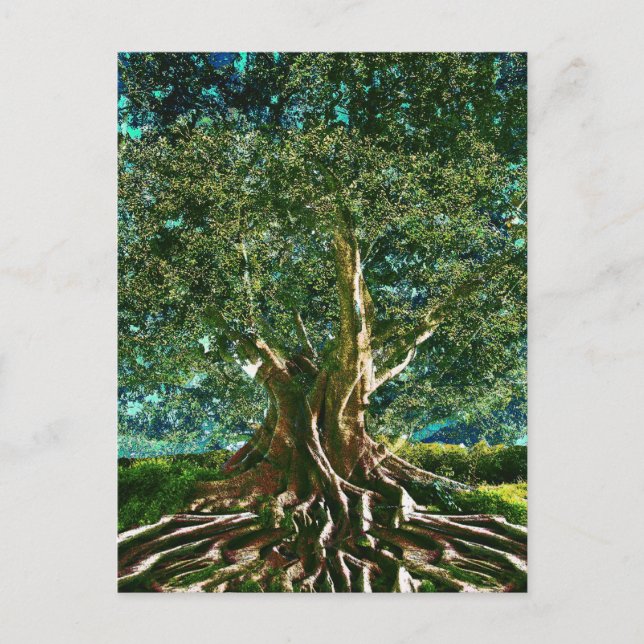 Baum des Leben-Grüns Postkarte (Vorderseite)
