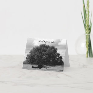 Baum des Lebens Karte